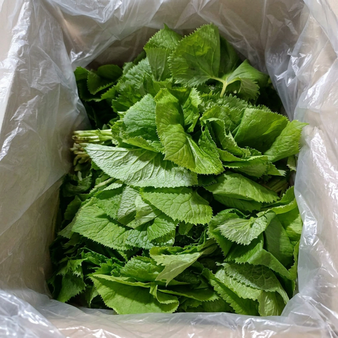 강원도 산지직송 국내산 유기농 곰취 나물, 1박스, 2kg
