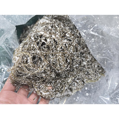 완도 염장 꼬시래기 1박스 지아수산, 4kg, 1개
