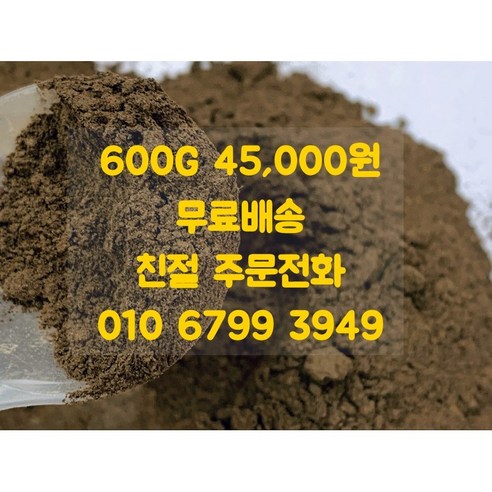 제주산 감태분말 100% (600g)