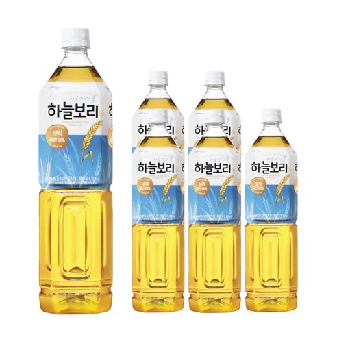 웅진 하늘보리