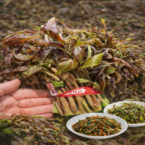 친환경인증 가죽나물  참죽나물 가죽나물순 참죽나물순 1kg, 500g