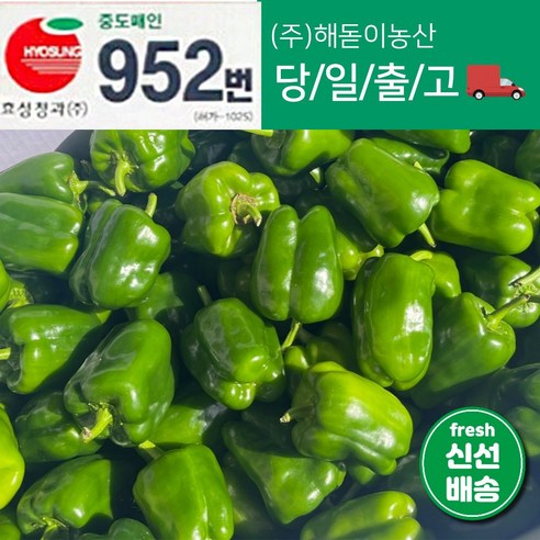 <해돋이농산> 국내산 못난이피망 초록피망 청피망 1kg 3kg 5kg 10kg