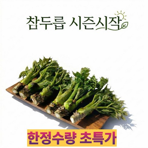 탱글이네 국내산 참두릅 산 산지직송 봄나물 제철 향긋
