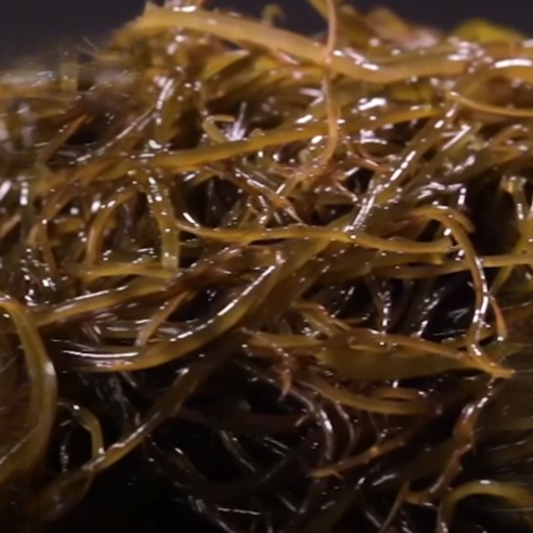 완도 염장 꼬시래기 10kg