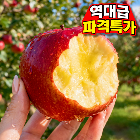 [노마진역대급최저가] 16Brix 딱50박스만 장인선별 부사사과