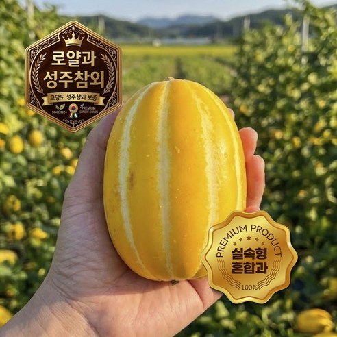 [타임특가] 성주참외 고당도 가정용 로얄과 실속형, 1박스, 실속형 혼합과 5kg