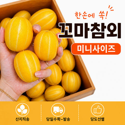 성주 꿀참외 산지직송 달콤한 꼬마참외  2kg/ 3kg /5kg