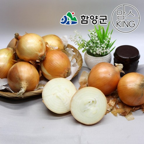 [함양군]함양농협 농산물 산지유통센타 국내산 조생종 햇양파 5kg