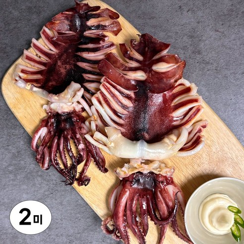 반건조오징어 조미오징어 마른오징어 바다해찬 배오징어 피데기 조미건어포