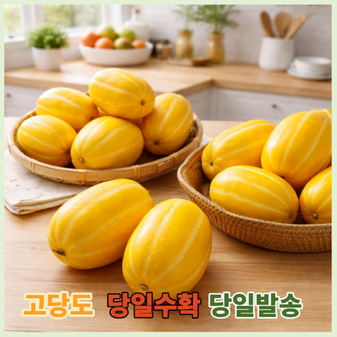 당일수확 성주 정품 꿀참외 고당도보장,, 산지직송, 1박스, 정품3kg(6~9과 내외)대과