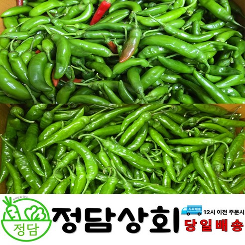 [ 정담상회 ] 국내산 청양고추 청량고추 못난이고추 매운고추 땡초 1kg, 2kg, 3kg ,10kg 내외