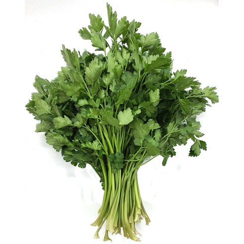 야채왕 이태리 파슬리 향나물 300g 이탈리안 파세리, 300g, 1개