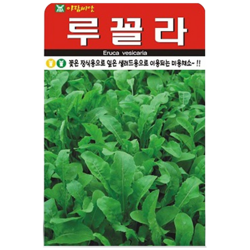 아람종묘 루꼴라 씨앗 2000립, 4개