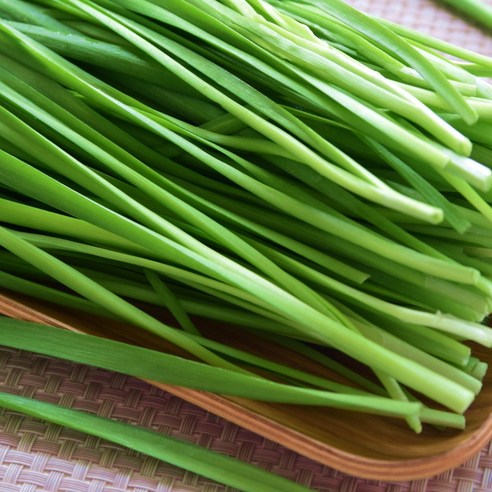 < 바른농산 > 당일수확 국내산 부추 1kg, 2kg, 4kg, 8kg