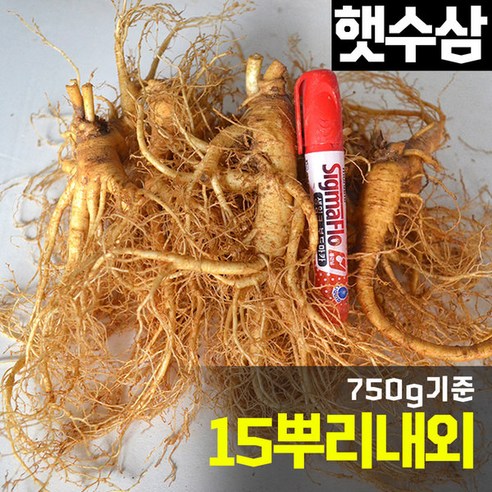 쿠팡! | 금산 6년근 금산인삼 수삼 난발삼 인삼 금산 6년근 금산인삼 수삼 난발삼 인삼