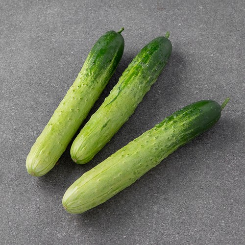 국내산 백오이 이미지