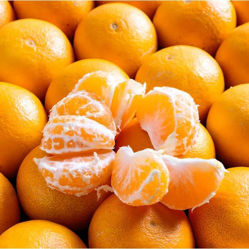 [50박스한정] 고당도 타이백 제주 감귤 하우스 귤, 1박스, 귤 로얄과(s-m)1kg