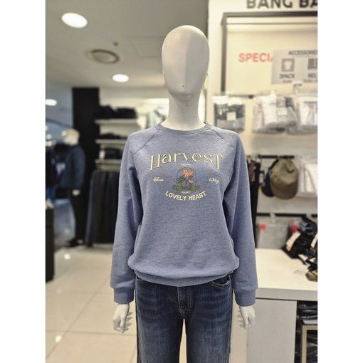 뱅뱅 봄 신상 반값 여성 캐주얼 레터링 맨투맨 티셔츠 CTM101