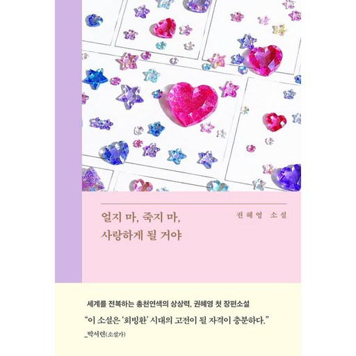 얼지 마, 죽지 마, 사랑하게 될 거야:권혜영 소설