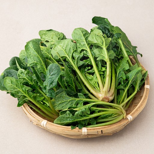 신선하고 건강한 국내산 시금치로 풍미 가득한 식탁을 준비하세요