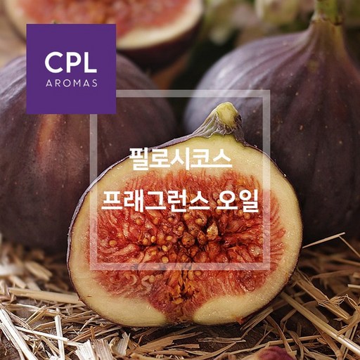 필로시코스 프래그런스오일 영국 CPL 아로마 캔들 디퓨져 재료