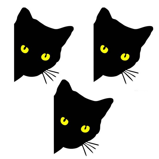3bb1d859-b439-41bf-b4d2-470d7f83e88b.jpg
