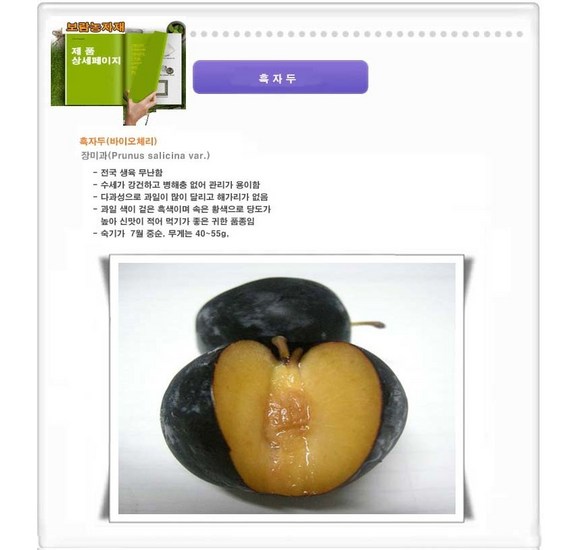 흑자두 요약정보 우선 확인: 깊은 풍미와 영양, 최고의 선택은?