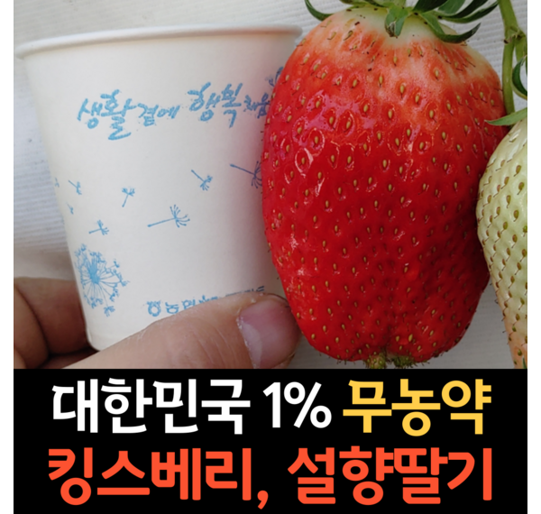 중국산 딸기, 달콤한 가격과 맛에 놀라실 준비 되셨나요?  믿을 수 있는 품질, 확실한 정보!