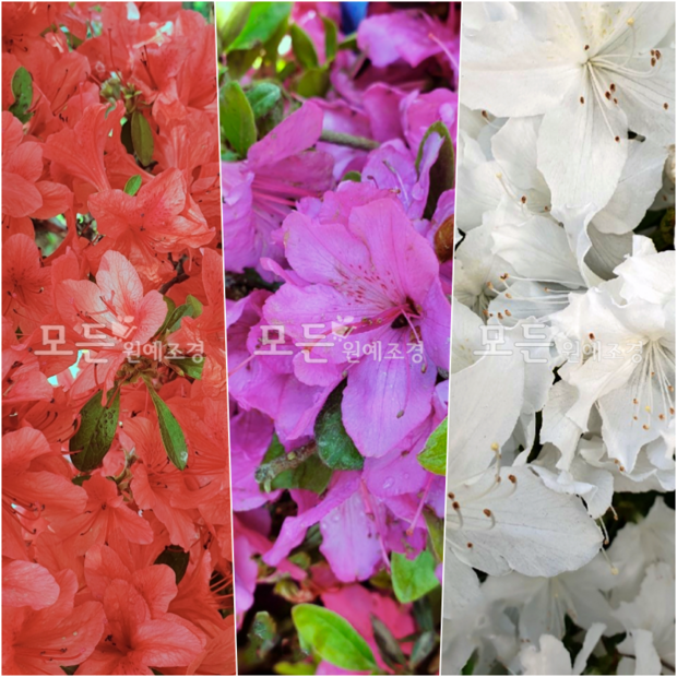 d31b05b0ada40c4538e2b54d9d65eb8c18fb87533aca1cd6110cdcf7bb37.png
