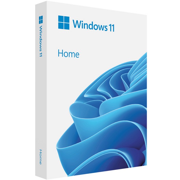 마이크로소프트 Windows 11 Home 처음사용자용 FPP USB HAJ00095, HAJ00095