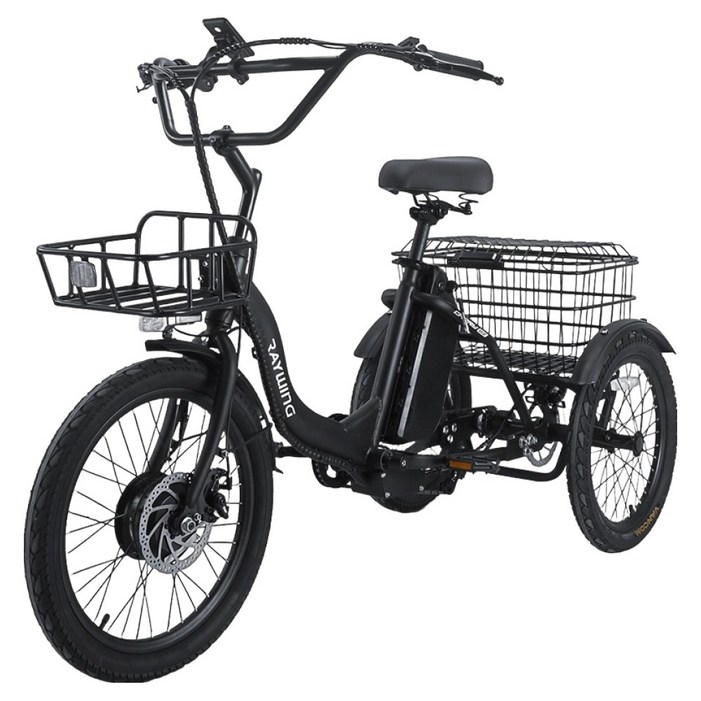 레이윙 삼성셀 배터리 캐리 이지 삼륜 전기자전거 25Ah 고객직접설치, 팬텀 블랙, 스틸