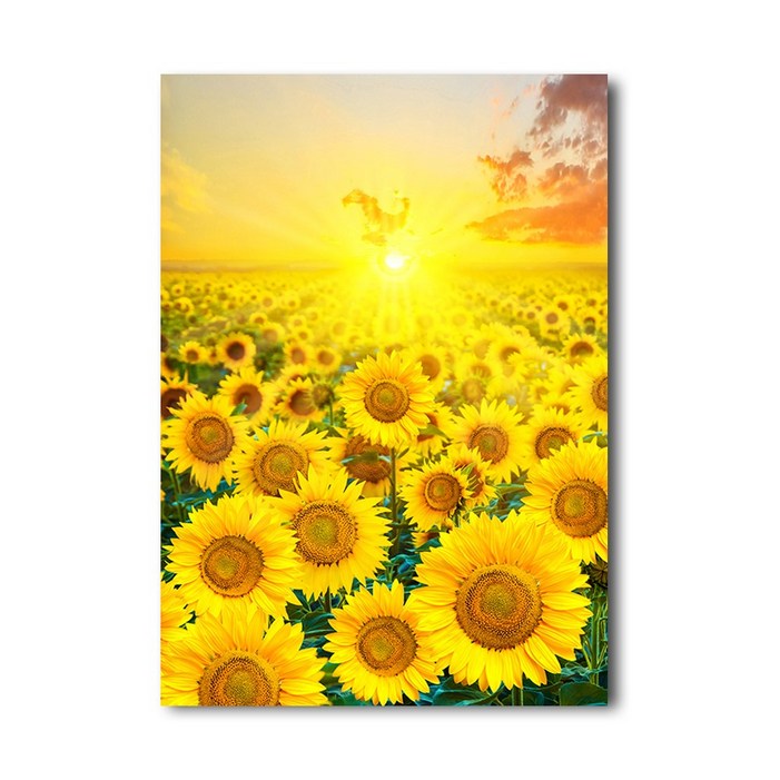 화색갤러리 인테리어 아침햇살 세로형 해바라기 캔버스액자