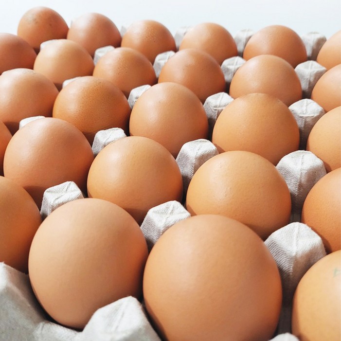 깨끗한농장 특란 식용란 1800g이상 알이큰계란 달걀