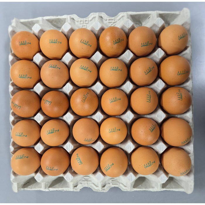 알부자집 무항생제계란 대란52g59g