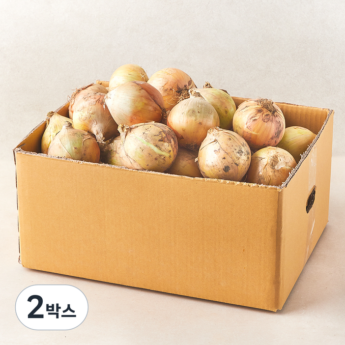 국내산 양파