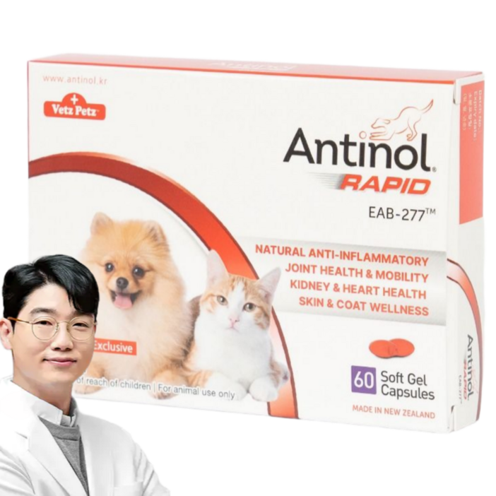 안티놀 래피드