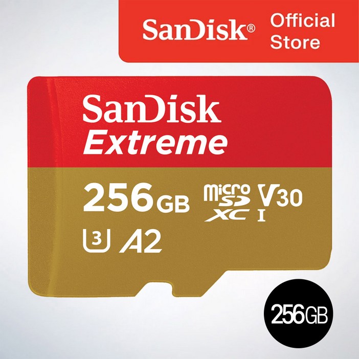 샌디스크 마이크로 SD카드 SDXC Extreme 익스트림 QXAV 256GB