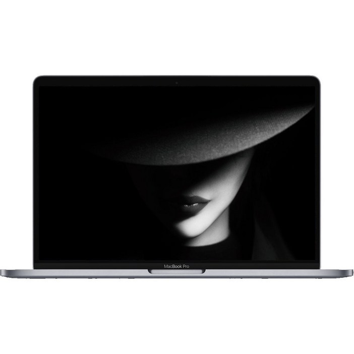 애플 맥북프로 2018 A1989 13.3인치 i5-8259U/16G/SSD 256G 실버, 애플 맥북프로 A1989, MAC OS, 16GB, 256GB, 실버