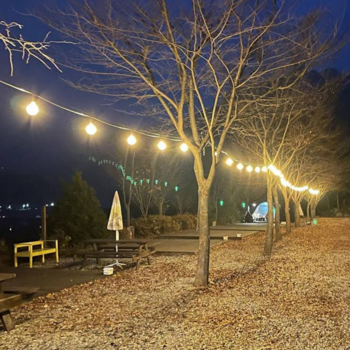 방수 오징어등 스트링 라이트 10구 20구 줄조명 5M 10M 파티라이트 캠핑 카페 야외 조명 알전구, Atype 10구, 1개