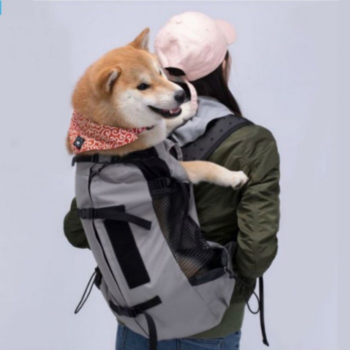 강아지포대기 중대형견 배낭형 이동가방 백팩