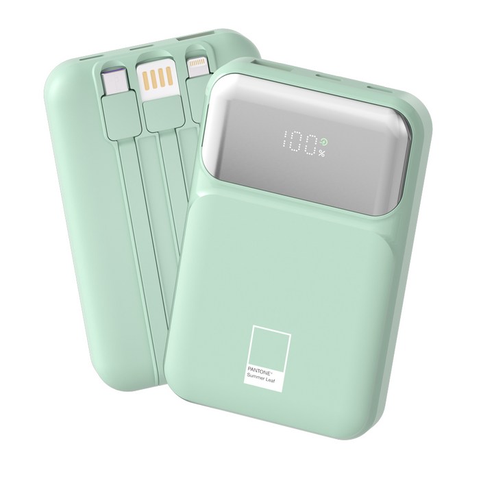 팬톤 PD 22.5W 초고속충전 대용량 케이블 일체형 미러 보조배터리 10000mAh PGB20, Summer Leaf