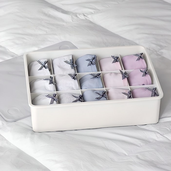 이즈리빙 칸칸칸 속옷 정리함 15칸