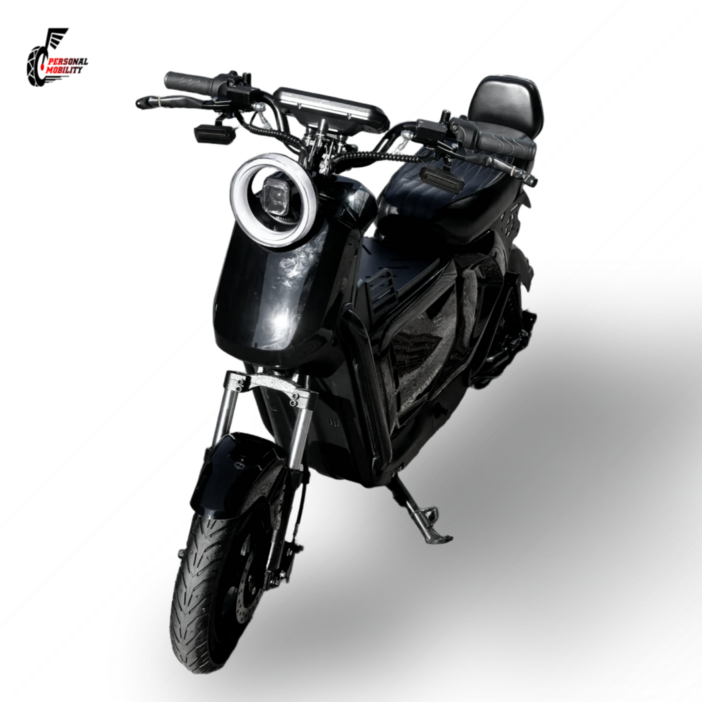 타이탄 전기 전동스쿠터 PTX1000 1500W 48V 25Ah 50Ah 분리형배터리