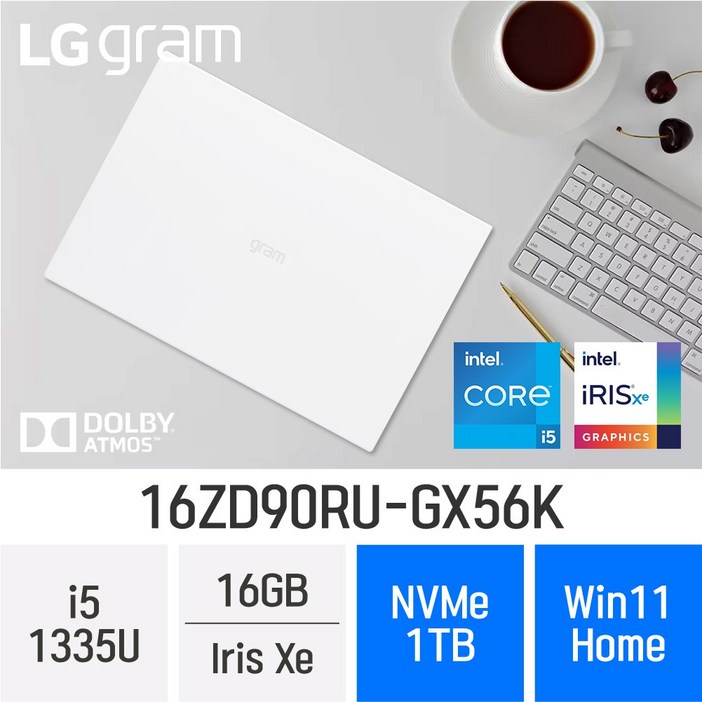 당일출고 LG전자 2023 그램16 13세대 16ZD90RUGX56K  최신형 업무용 노트북, 16ZD90RUGX56K, WIN11 Home, 16GB, 1TB, W