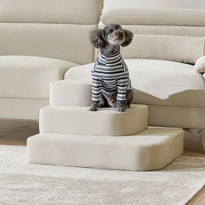 웰퍼니쳐 체리쉬 논슬립 슬개골보호 애견 강아지 고양이 3단/2단 변신 계단 펫스텝 침대 소파 발판, 1개, 체리쉬 펫스텝_민트블루