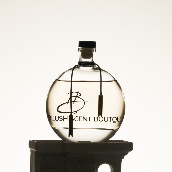 블러쉬 베이비풀문 오브제 인테리어 고급디퓨져 대용량디퓨저 실내방향제, 1개, 250ml, 블랑쉬(호환)