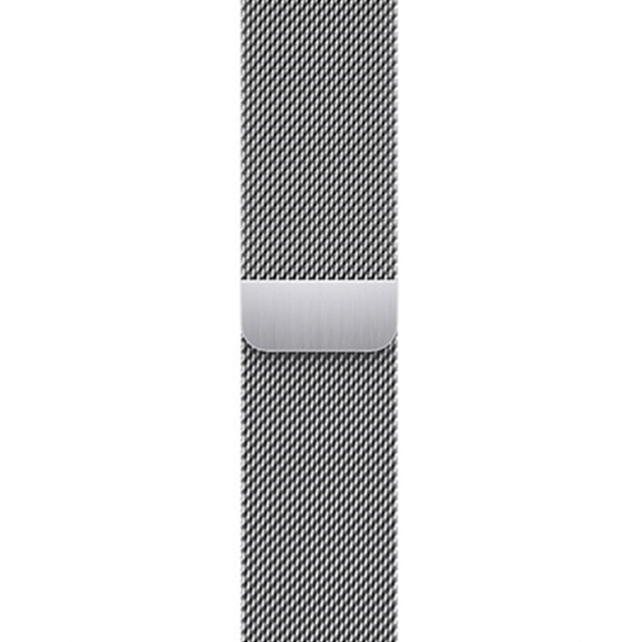Apple 정품 애플워치 밀레니즈 루프