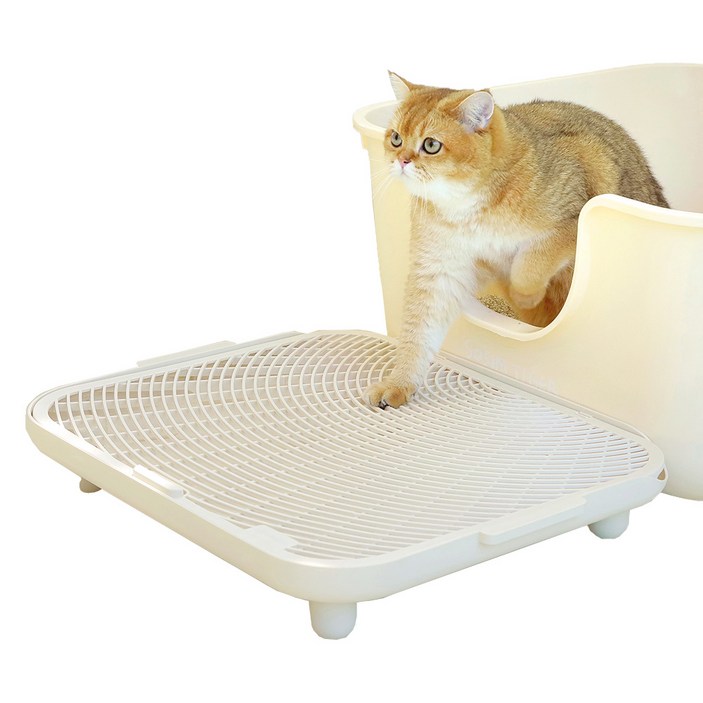 소심한호랑이 고양이 심쿵발판