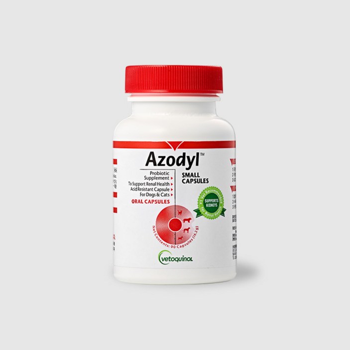 아조딜 90캡슐 신장질환 신부전 보조제, 90정, 1개