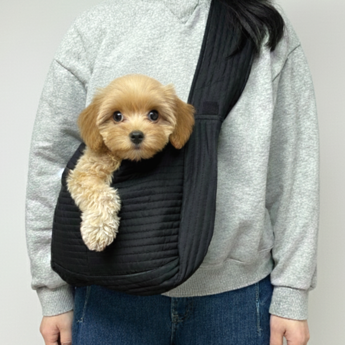 모디앤 소형견 강아지 슬링백